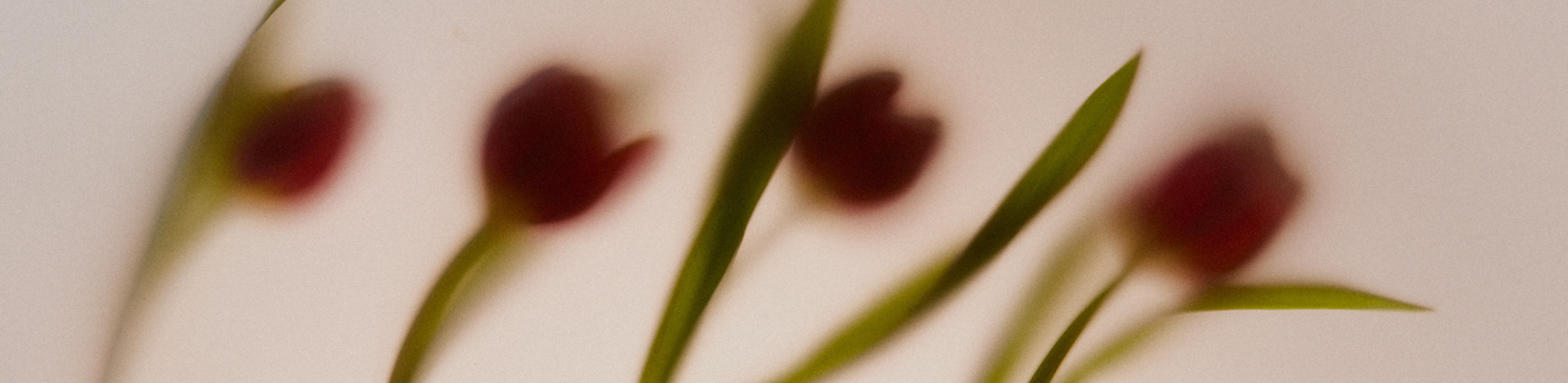 Airyday Collection Header